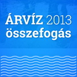 2013 arviz