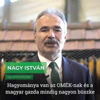 „OMÉK 2019” megtekintése