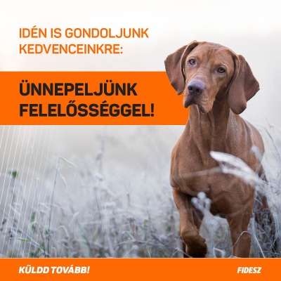 Idén is gondoljunk kedvenceinkre: ünnepeljünk felelősséggel!