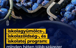 A cél, hogy az iskolások kormányzati segítséggel minél több friss tejterméket, zölds…