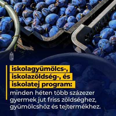 A cél, hogy az iskolások kormányzati segítséggel minél több friss tejterméket, zölds…